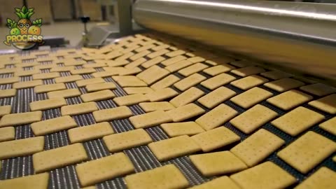 HOW MILLIONS OF EeLS ARE PROCESSED IN A FACTORY // EEL PRODUCTION PROCESS