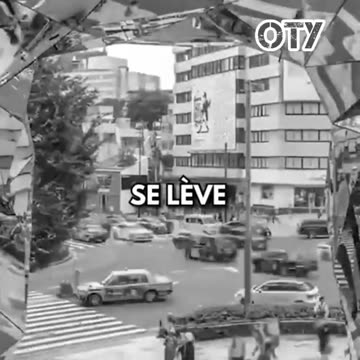 🇨🇦🇫🇷UN MOUTON🐑