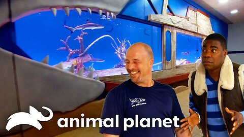 Super Fan Tracy Morgan Receives A Custom Tank! Tanked Animal Planet