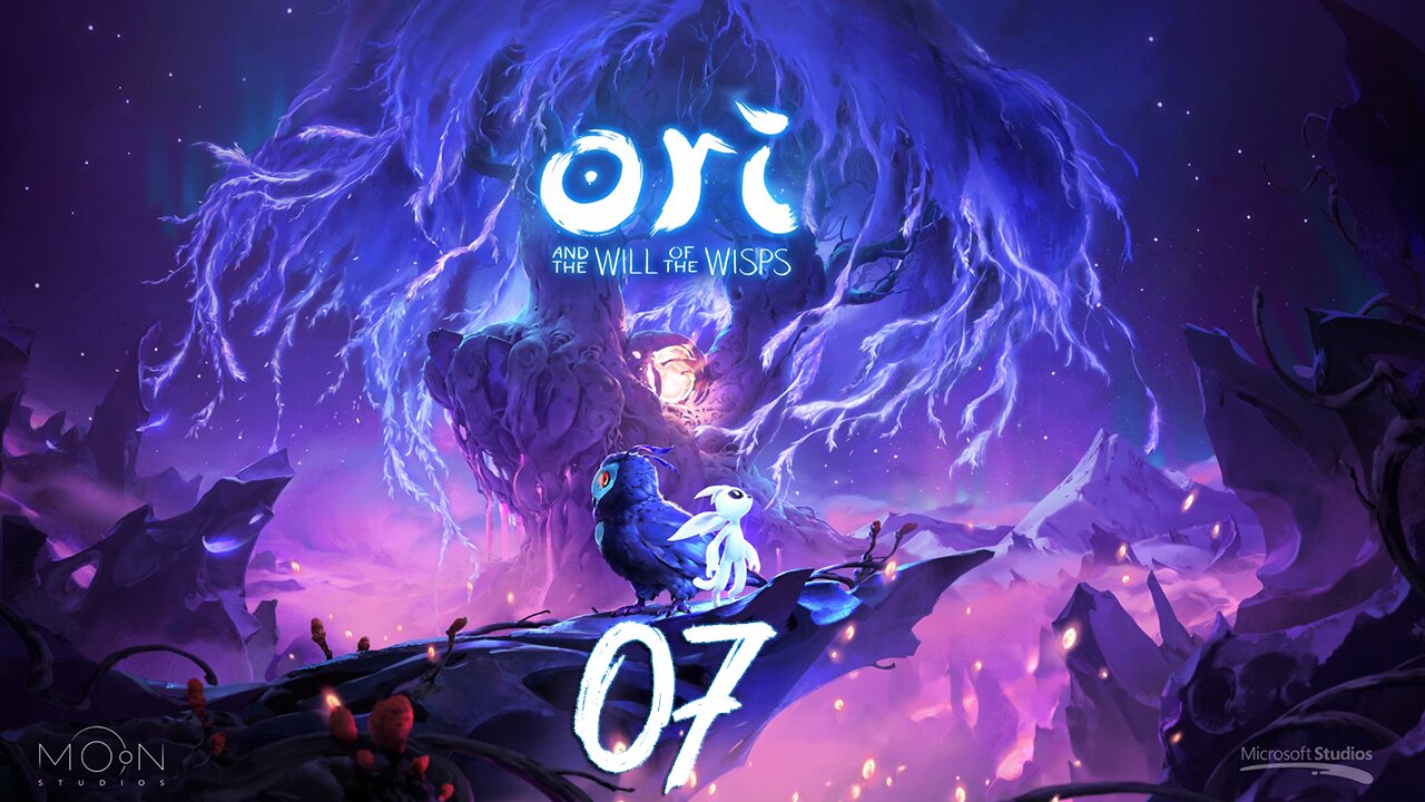 Ori and the Will of the Wisps Hard 007 Meeting Kwolok