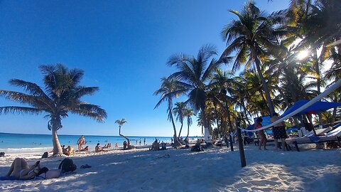 Parque del Jaguar (ll.), TULUM, MEXICO, Febrero 2025