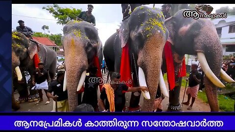 ആനകളെ മറ്റുള്ള സ്റ്റേറ്റുകളിൽ നിന്നും കൊണ്ടുവരാനുള്ള നിയമം പാസായി _ Elephant exchange rule in India