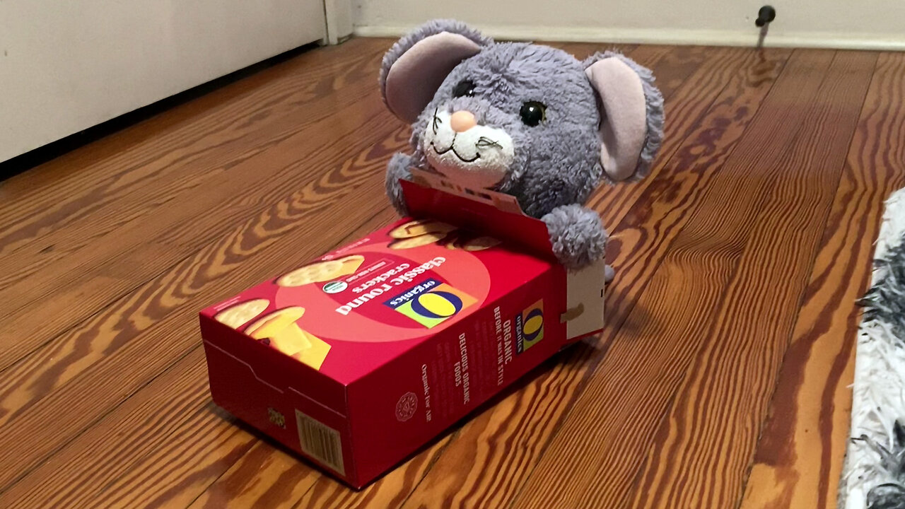 The Rat Mobile™
