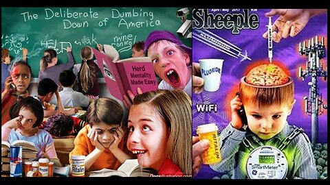 SMHP: The Fake School vs Prison The Big Picture Explained for Brainwashed Dummies!