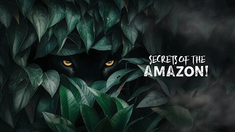 Top 10 Facts About Amazon Forest