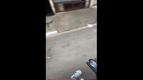 Who chases who?🤣