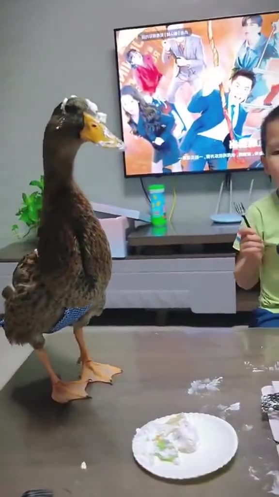 so funny animals 😹🐕🦢