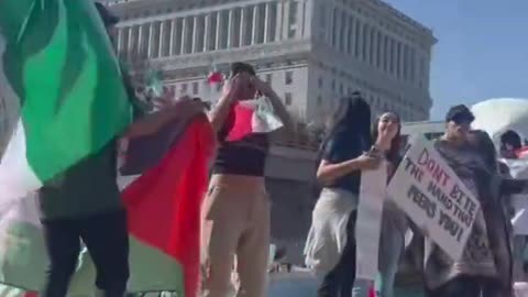 Illegal migrant activists wave foreign flags as they protest on the LA freeway.