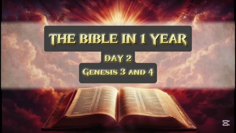 Day 2 of 365 (THE WHOLE BIBLE)