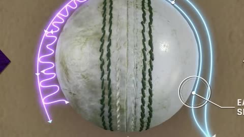 How to Master the Technique of Reverse Swing: A Transformative Skill in Fast Bowling #cricket