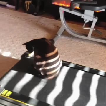 What was kitty thinking