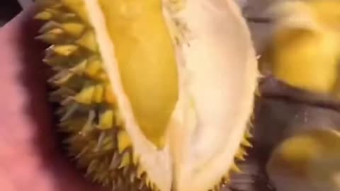 Thai Durian