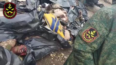 GRAPHIC (21+) - Bodies of Azov Nazis