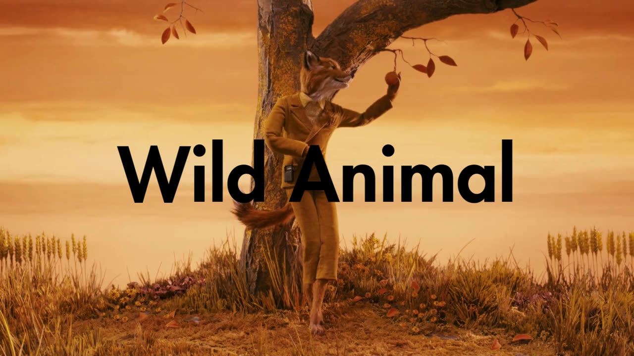 Wild Animal | ~Fantastic Mr. Fox Edit~