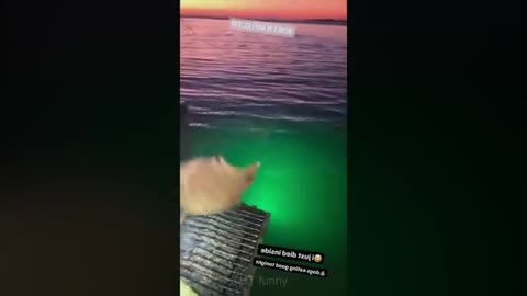 TRY NOT TO LAUGH 🤣😂