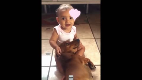 Funny Cats and Dogs Videos NON Stop Laughing 🤣