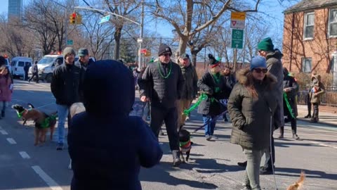 Queens New York Saint Patrick's Day Parade