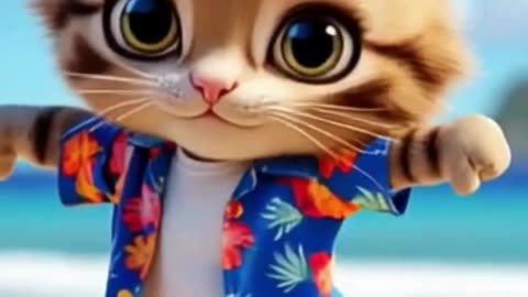 funny kitties Videos