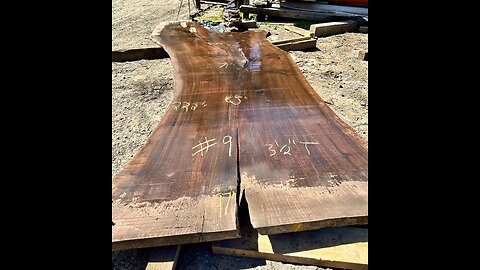 Sanding giant walnut slabs