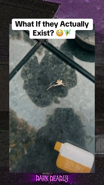 Skeleton Of A Fairy!?