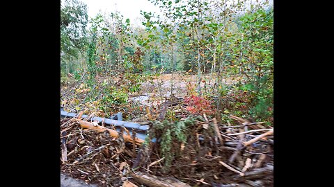 WNC Helene damage Wilson Creek