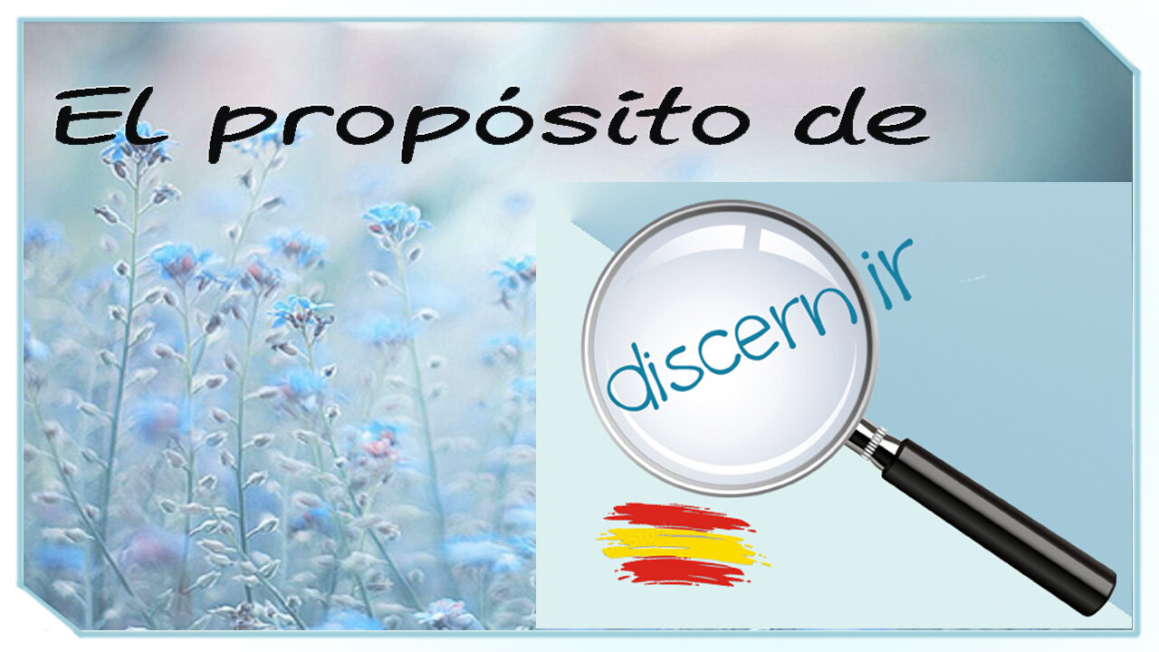 EL PROPÓSITO DE DISCERNIR