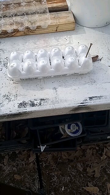 up cycling an egg carton