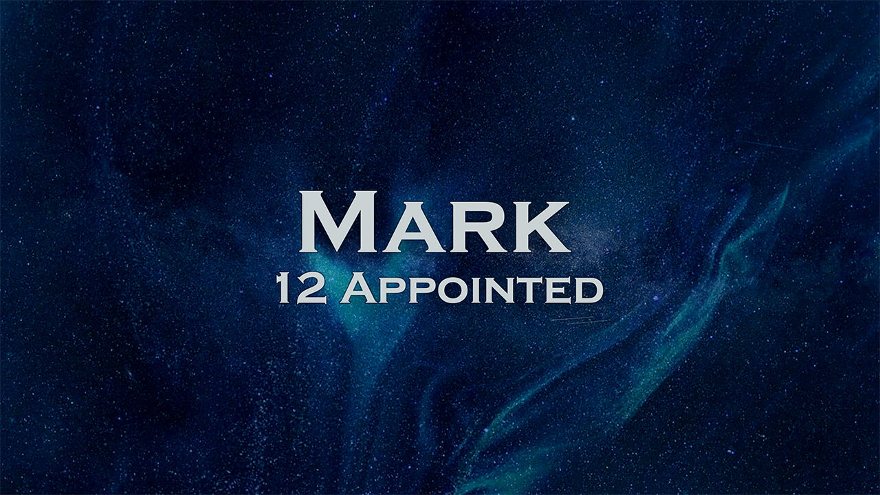 12 Appointed