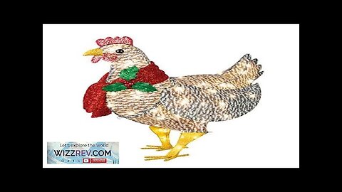 Light Up Chicken With Scarf Outdoor Garden Courtyard Decoration Acrylic Chicken Sculpture Review