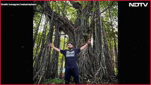 Samay Raina Indias Got Latent | Who Is Samay Raina, Comedian Under Scrutiny Over Crass Remark