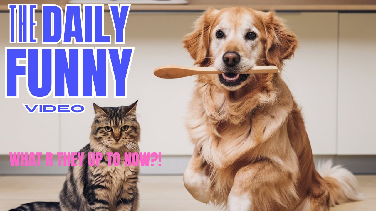 Funny Cute Animals - Try not to laugh!