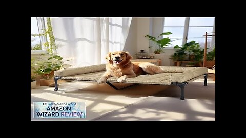 Veehoo Cooling Elevated Dog Bed + Waterproof Removable Pillow-Top Mat Bolster Dog Review