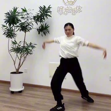 0227.原創系列大雁功法