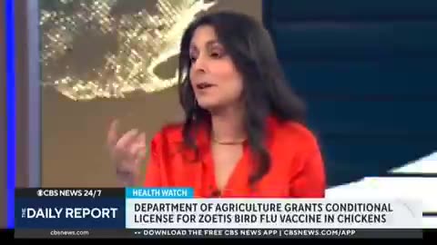 CBS News is now warning that a bird flu pandemic could be on the horizon.