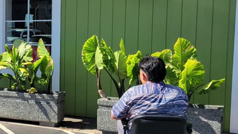 🍽️ Highway Inn – An Accessible Taste of Hawaiian Tradition! 🌺♿