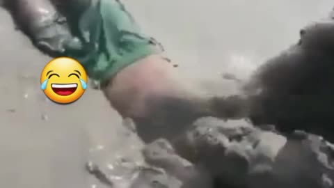 Funniest videos 😂 laull