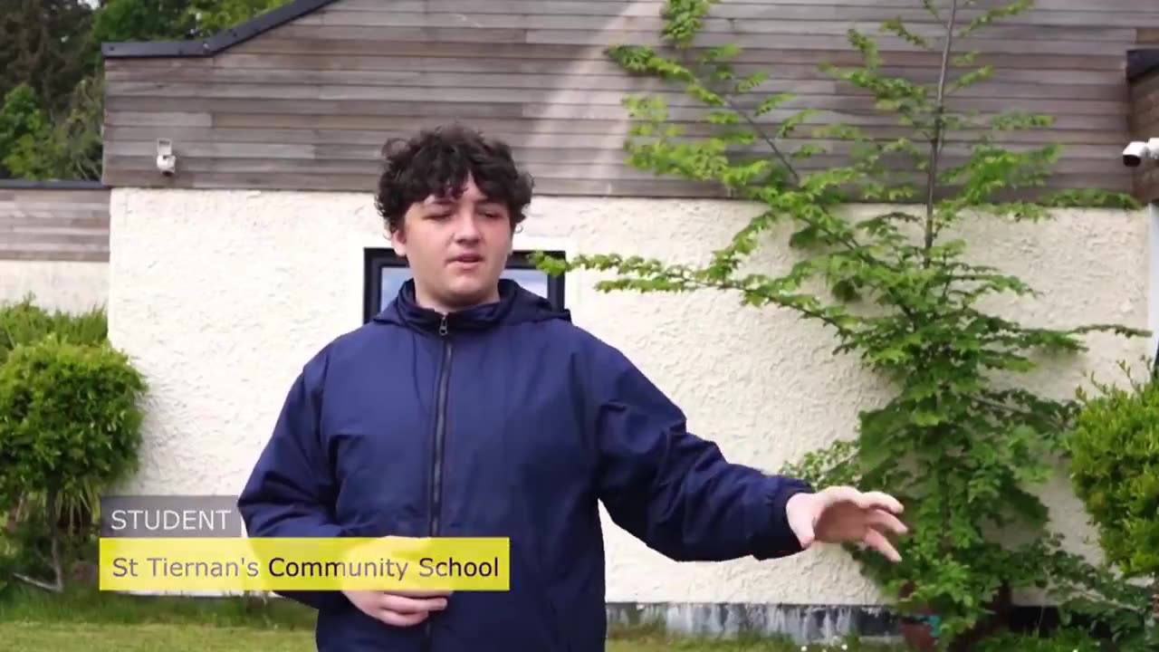 The brainwashing happening in Irish schools is like something out of a dystopian