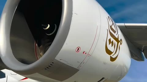 ليست المطالب بالتمني ولكن تؤخذ الدنيا UEA airline