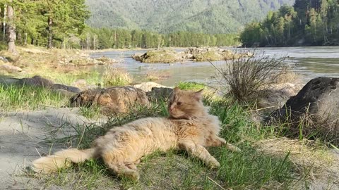 3 обязательных шага, которые необходимо пройти при расставании с мужчиной абьюзером