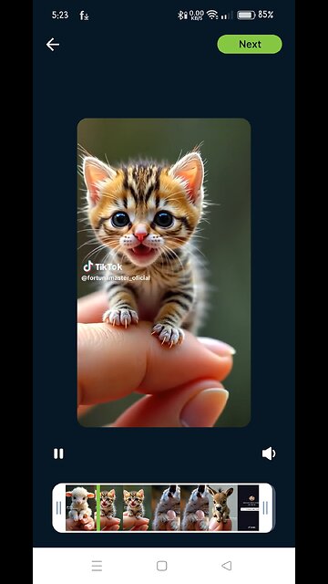 Overloaded cuteness🥰😍