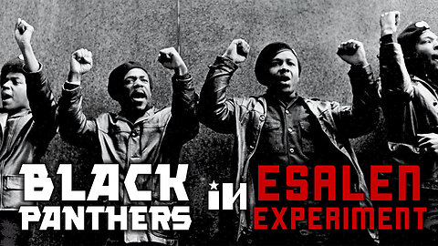 How did an Esalen Institute social experiment with Black Panthers and whites work out?▮blackpilled