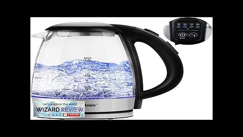 Electric Kettle Temperature Control Hot Water Boiler Tea Heater Fast Heating Review