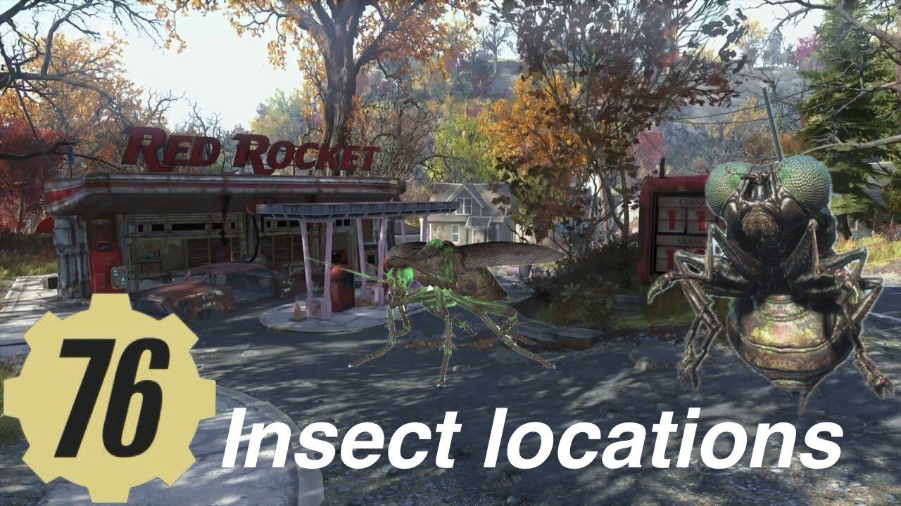 fallout 76, insect locations daily challenge- Kill an intact, Fallout