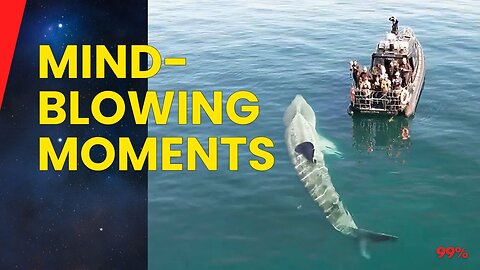 Mind-Blowing Moments Caught on Camera: Wild Encounters, Elemental Fusion, and Glacier Collapse...