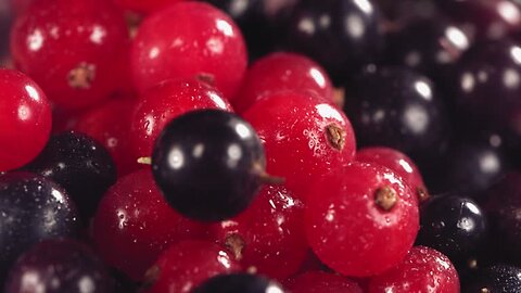 Why Blackcurrants Are the Ultimate Anti-Inflammatory Berry! 💪 #BlackcurrantBenefits #Berry