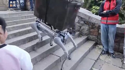 Robot dogs are gradually becoming universal workers: the Chinese have awarded them with garbage...