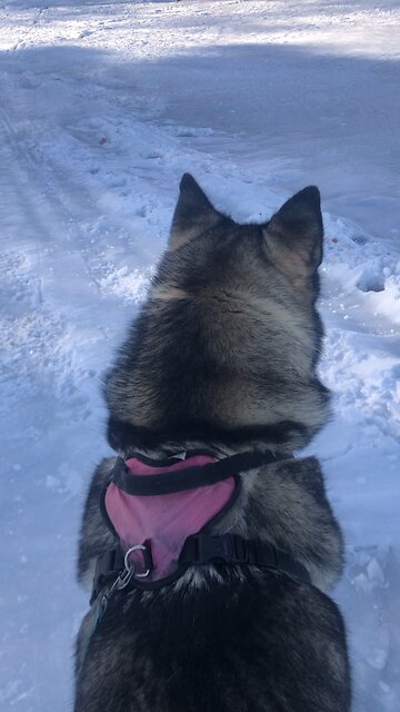 Saturday February 1, Dose your tree produce good fruit.