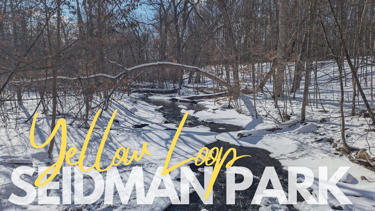 Yellow Loop at Seidman Park, Sunny Winter Hike | Full Hike POV | Hiking, Nature ASMR | Kent Co, MI
