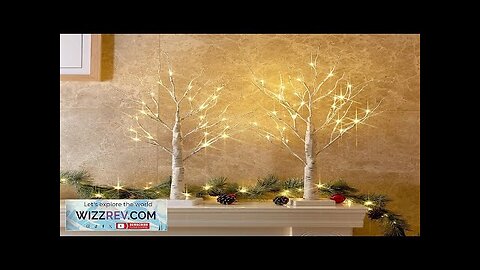 PEIDUO Christmas Decorations Indoor 2 FT Birch Tree with LED Lights Fairy Review