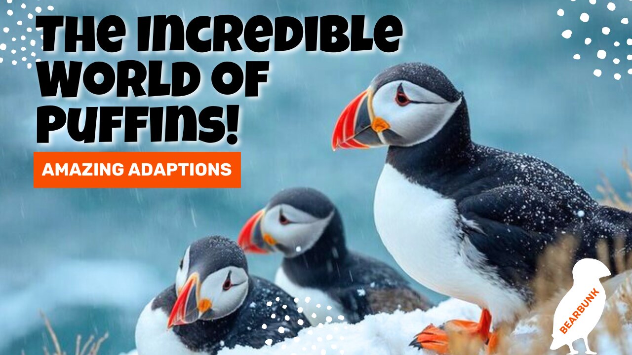 The Incredible World of Puffins! 🐧 Fun Facts & Amazing Adaptations